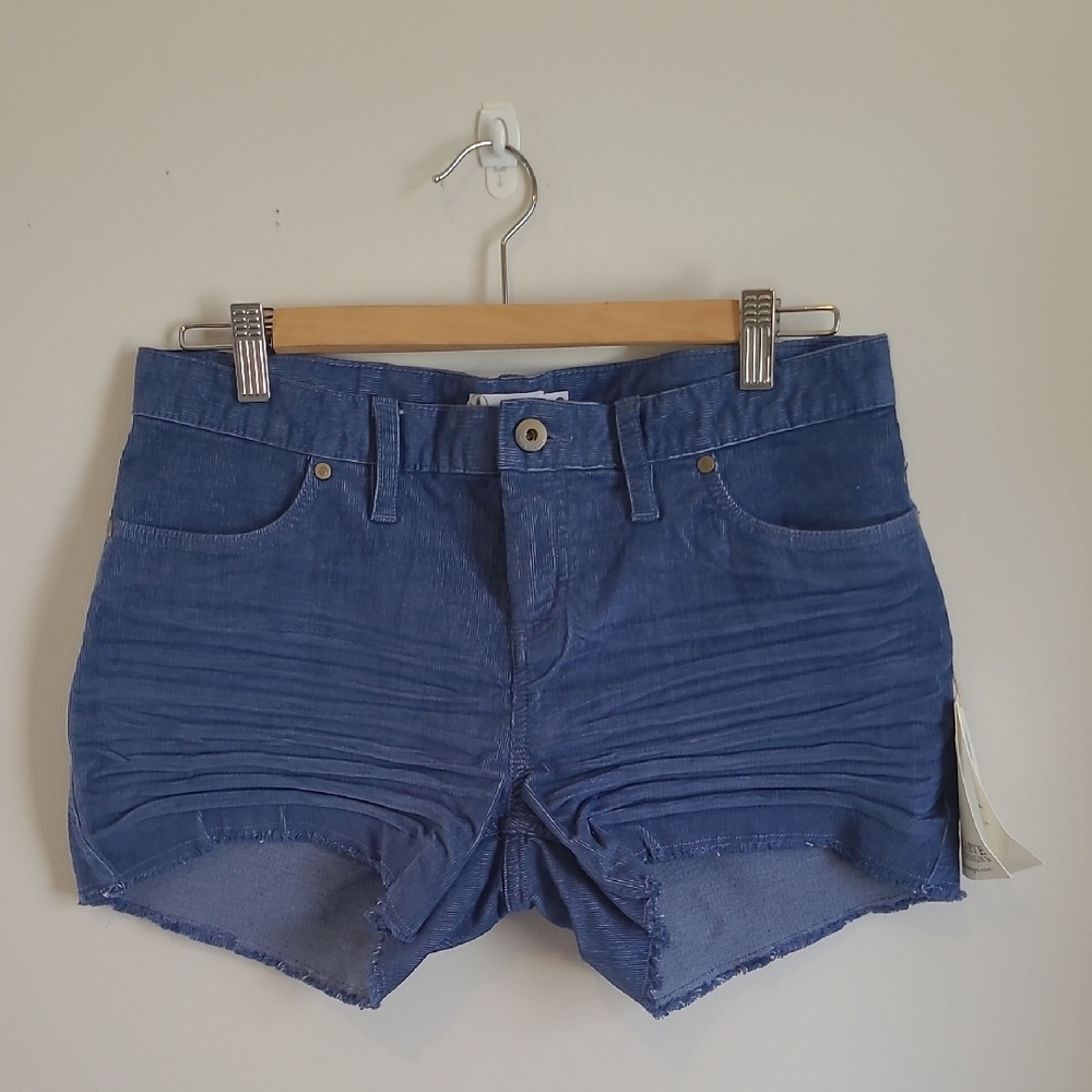 Carve Designs Blue Micro Cord Shorts with Frayed Hem